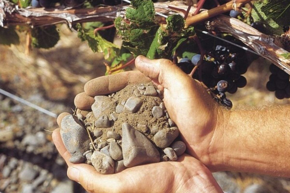 Čuvar Guardians Cabernet Merlot Malbec Named in Prestigious Gimblett Gravels® Vintage Selection